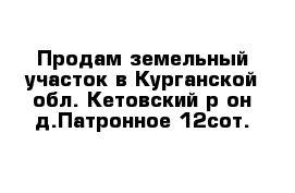 Продам земельный участок в Курганской обл. Кетовский р-он д.Патронное 12сот.